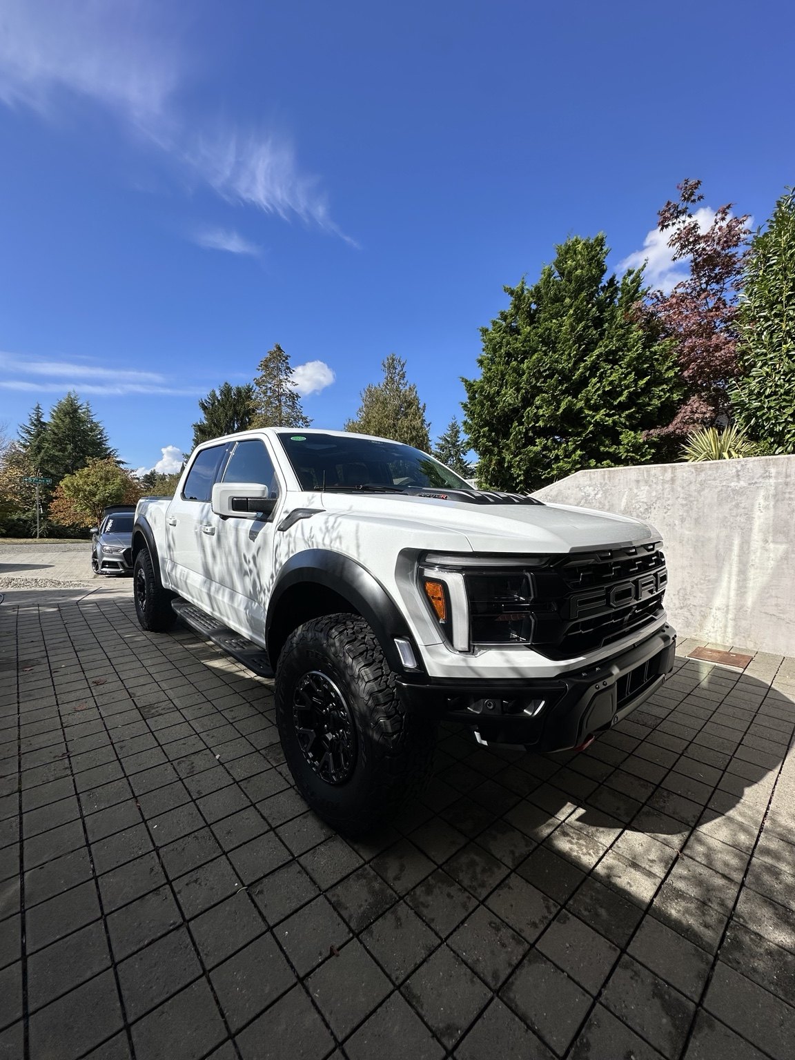 White Ford truck with a glossy protected finish