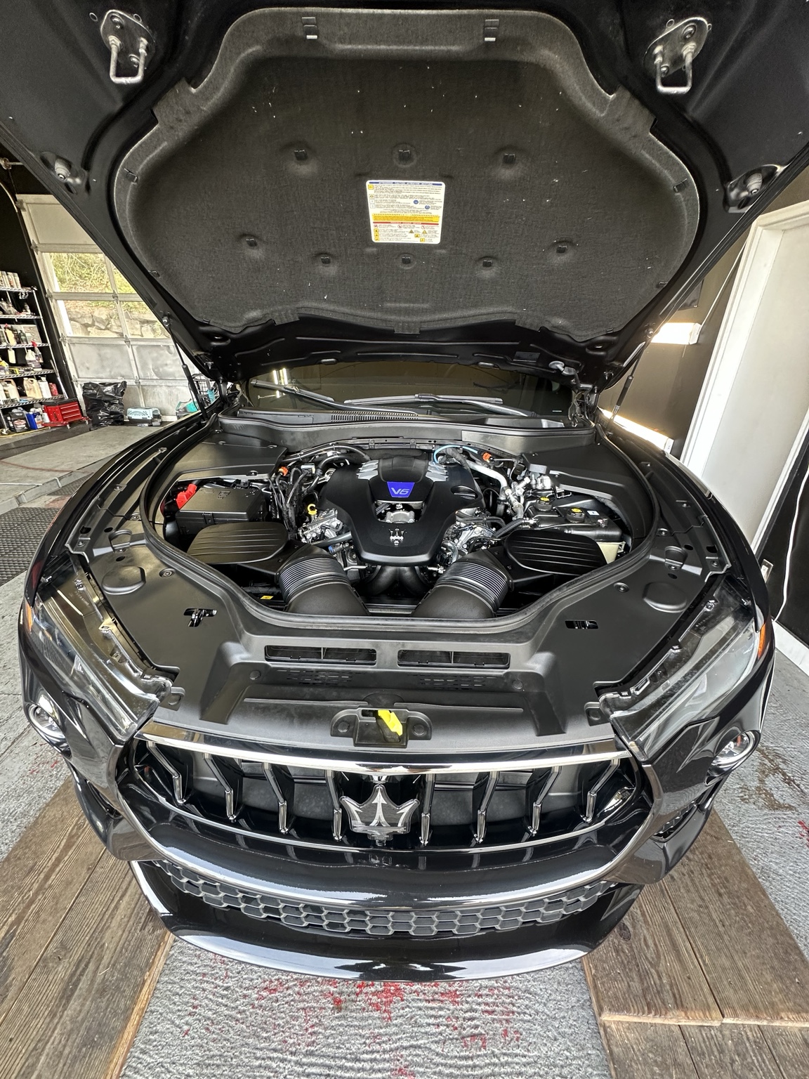 Engine bay after detailing